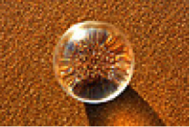 First Feature Image